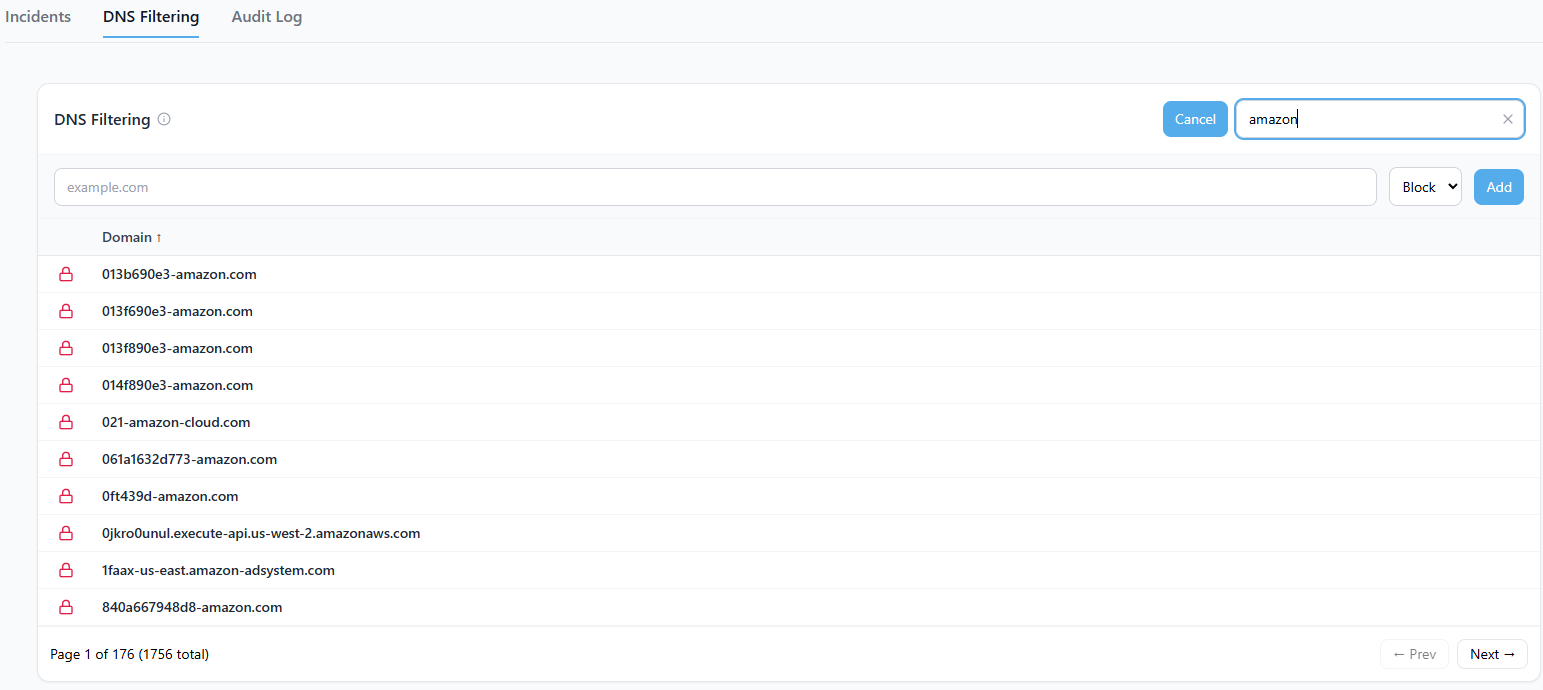 Screenshot showing the DNS Filtering management interface
